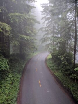 Cold weather and fog winter