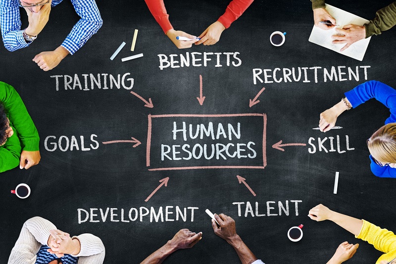 The Importance of Human Resources in Business