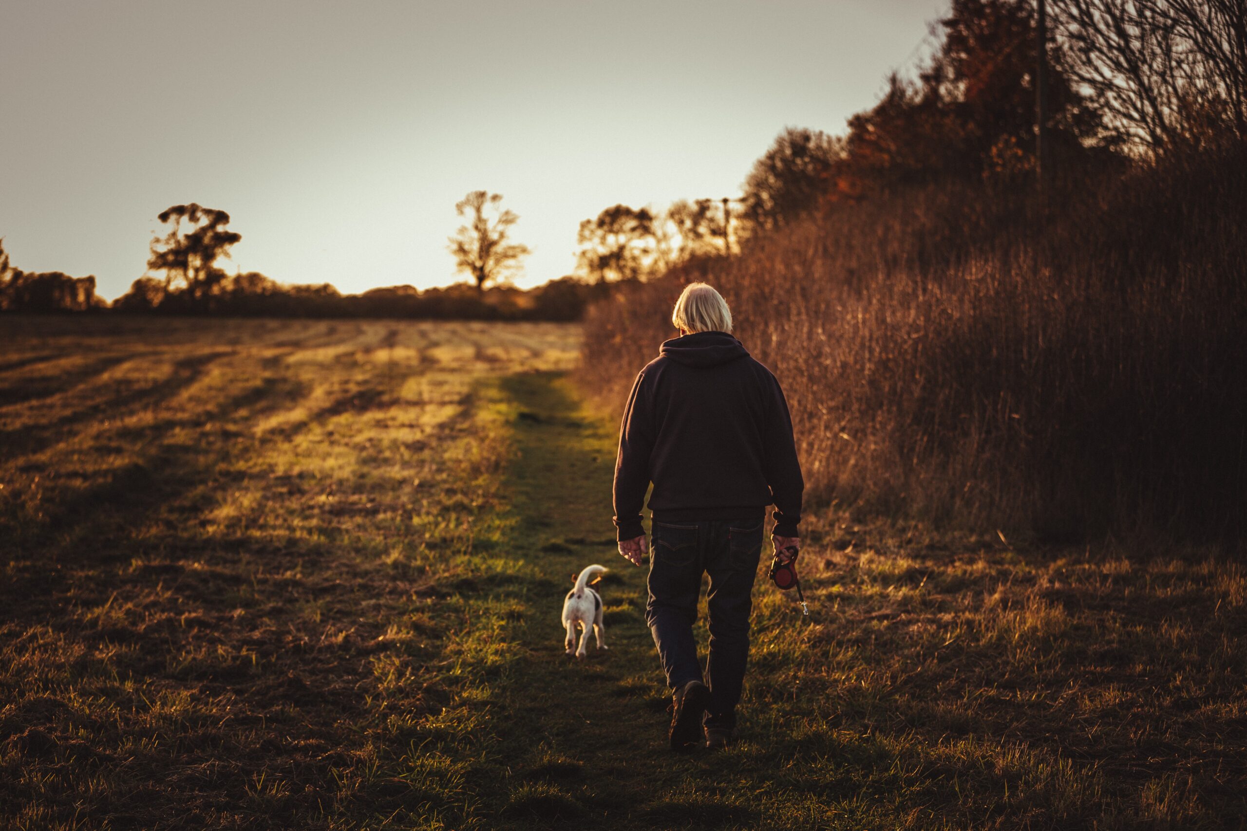 Did you know?  January - walk your dog month.