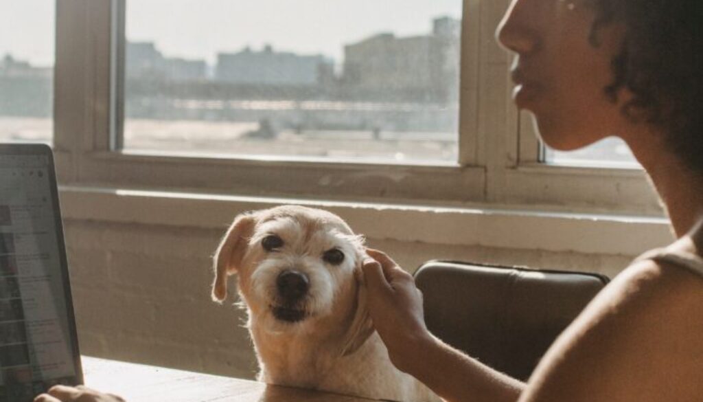 Lady with dog while working