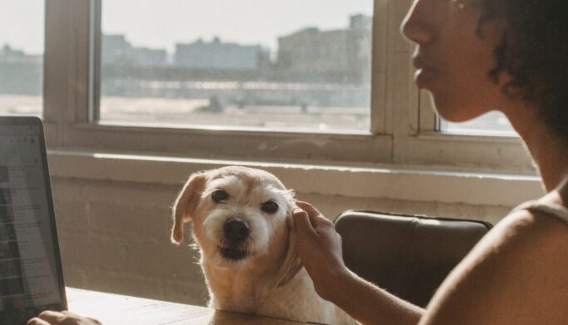 Lady with dog while working