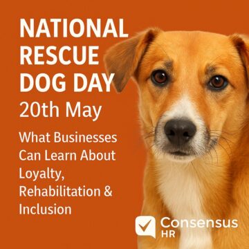 National Rescue Dog day