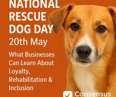 National Rescue Dog day