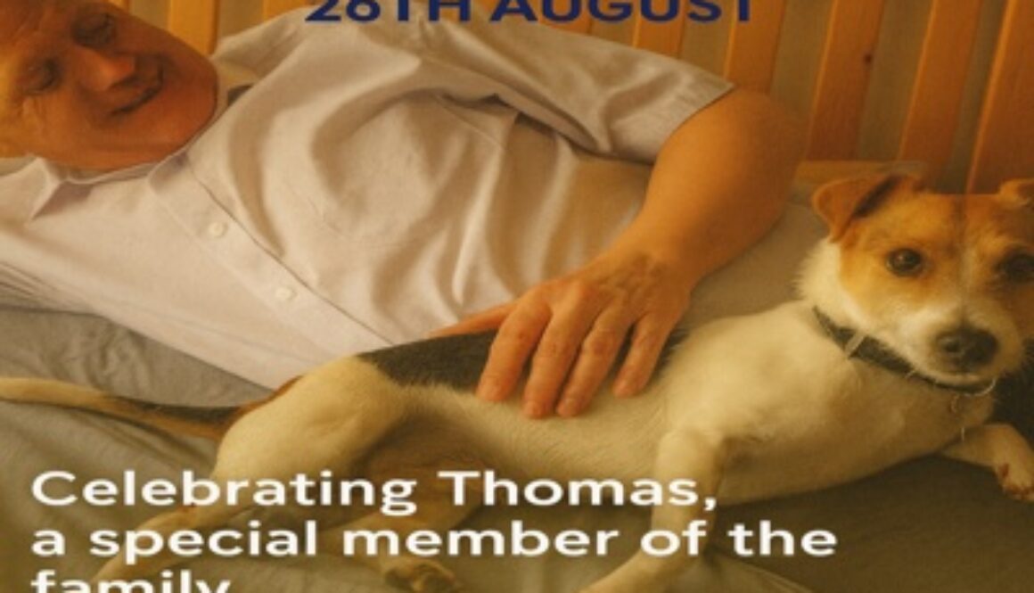 International Dog Day