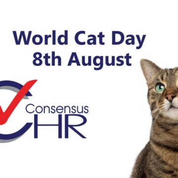 International World Cat Day - 8th August