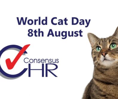 International World Cat Day - 8th August