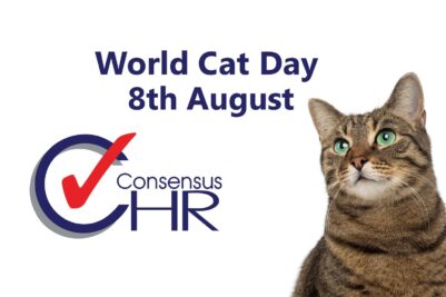 World_Cat_Day_ConsensusHR International World Cat Day - 8th August